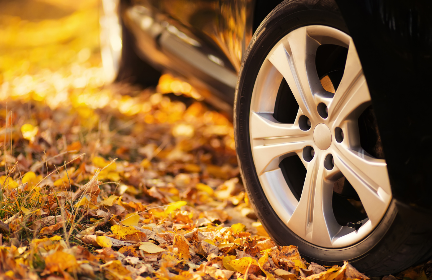 4 Fall Driving Safety Tips