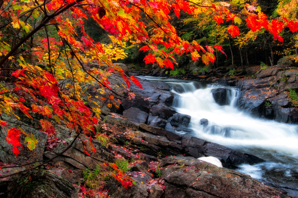 BC Drive | Top 4 Fall Road Trips in BC